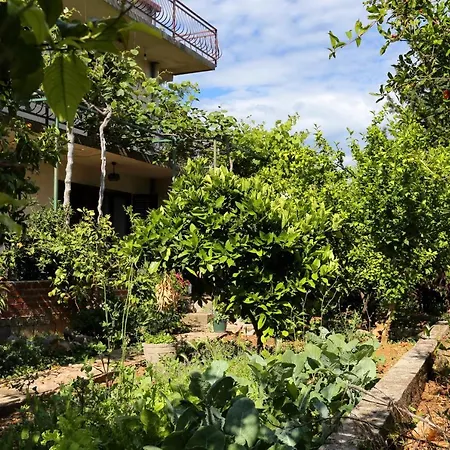 With Parking Space Orebic, Peljesac - 10118 Appartement