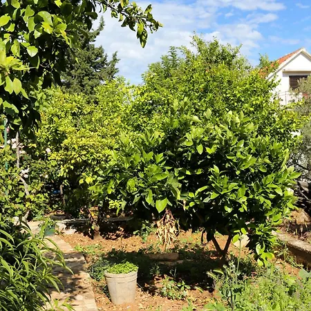 With Parking Space Orebic, Peljesac - 10118 Orebić