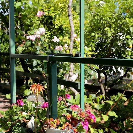 Apartment With Parking Space Orebic, Peljesac - 10118 *