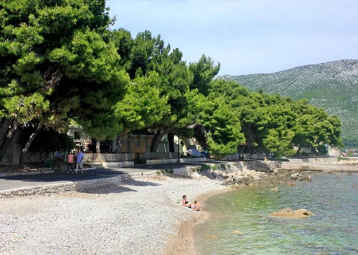With Parking Space - Peljesac - 10118 公寓