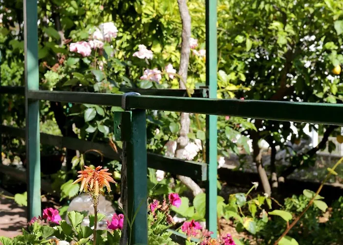 Appartamento With Parking Space - Peljesac - 10118 *