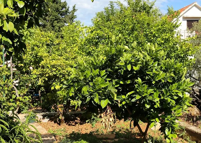 With Parking Space - Peljesac - 10118 Orebić